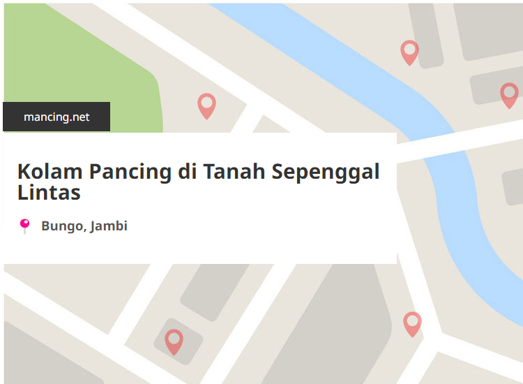 Kolam Pancing Terdekat di Tanah Sepenggal Lintas, Bungo, Jambi